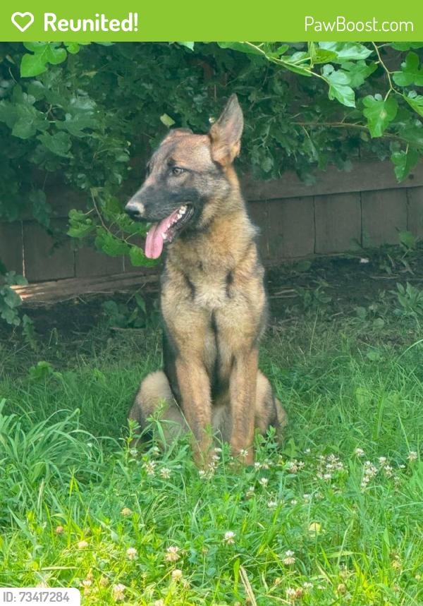 Reunited Female Dog last seen Kenwick Rd, Columbus, OH 43209, USA, Columbus, OH 43209