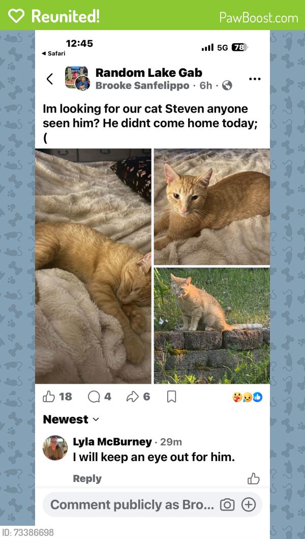 Reunited Male Cat last seen West lake dr random lake wi 53075, Random Lake, WI 53075
