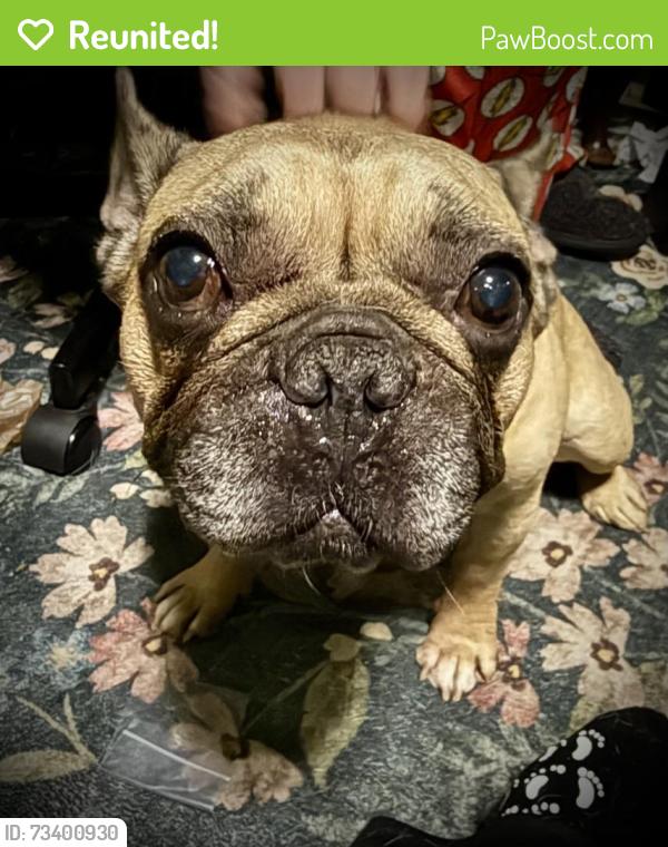 Reunited Male Dog last seen Near tinsberry drive, South Chesterfield, VA 23834