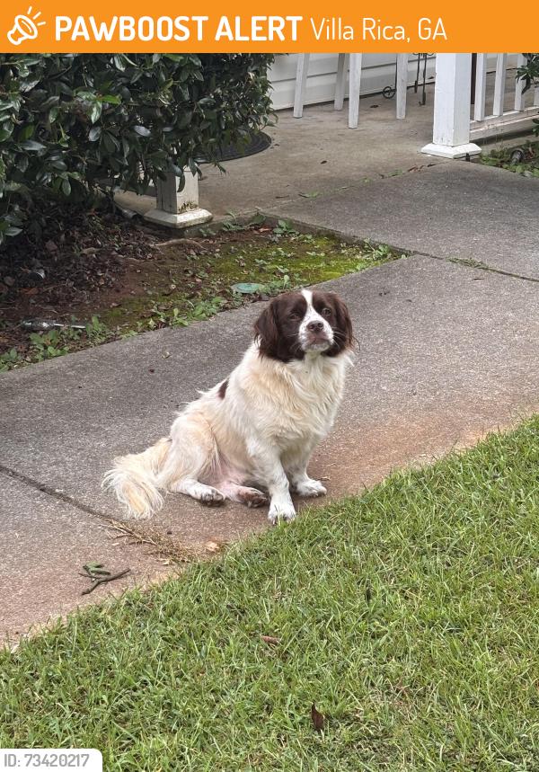 Found/Stray Unknown Dog last seen Near cedars Glen way, Villa Rica, GA 30180