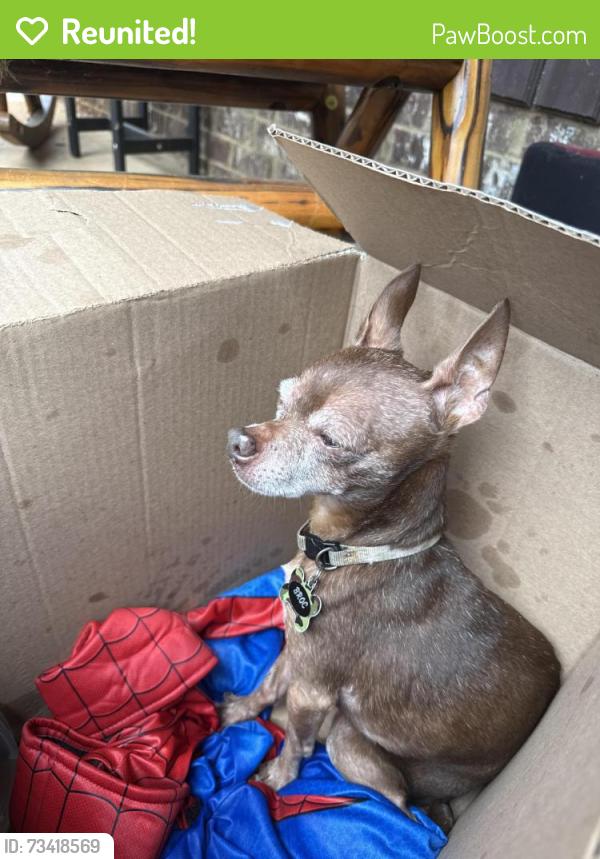 Reunited Male Dog last seen Darian and Grandby, Heron Bay, GA 30248