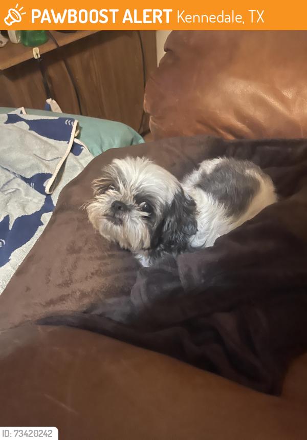 Found/Stray Female Dog last seen Railroad tracks, Kennedale, TX 76060