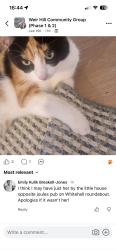 Lost Female Cat last seen Shirehall, London road, Shropshire, England 