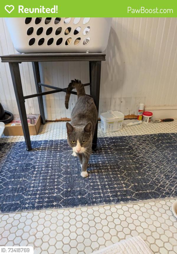 Reunited Male Cat last seen 22nd and Brandywine, Philadelphia, PA 19130