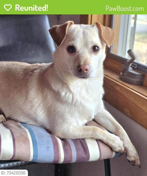 Reunited Female Dog last seen Hemlock and East Fish Lake Road, Maple Grove, MN 55369