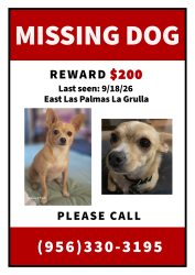 Lost Male Dog last seen E Las Palmas St, La Grulla, TX 78548