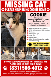 Reunited Male Cat last seen Woodwardia Ave and Lilac Ave, Felton, CA, Felton, CA 95018