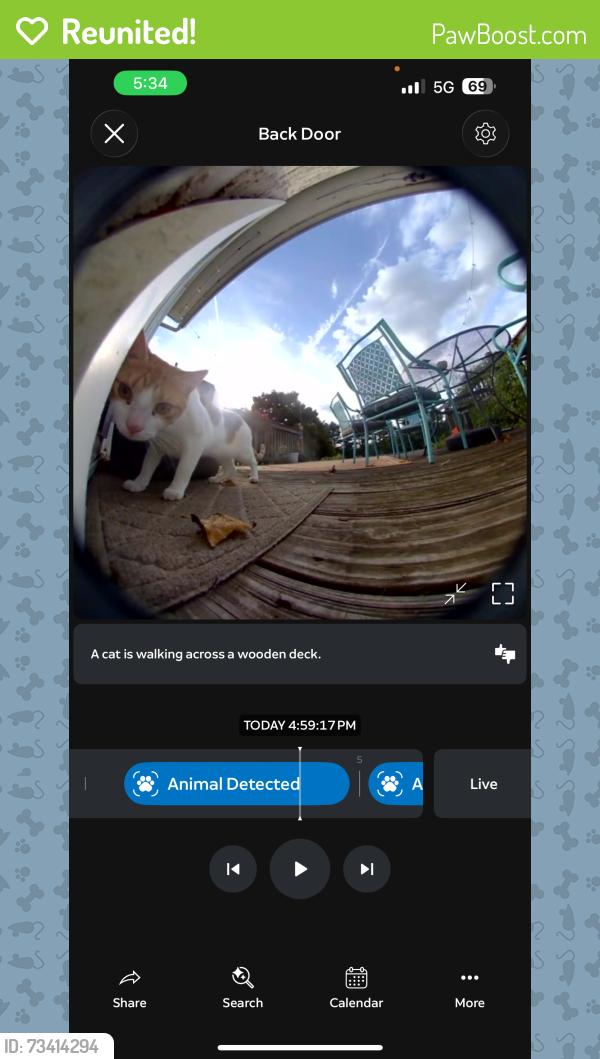 Reunited Male Cat last seen Warminster Community Park / Munro Park - newtown road and Bristol road, Warminster, PA 18974
