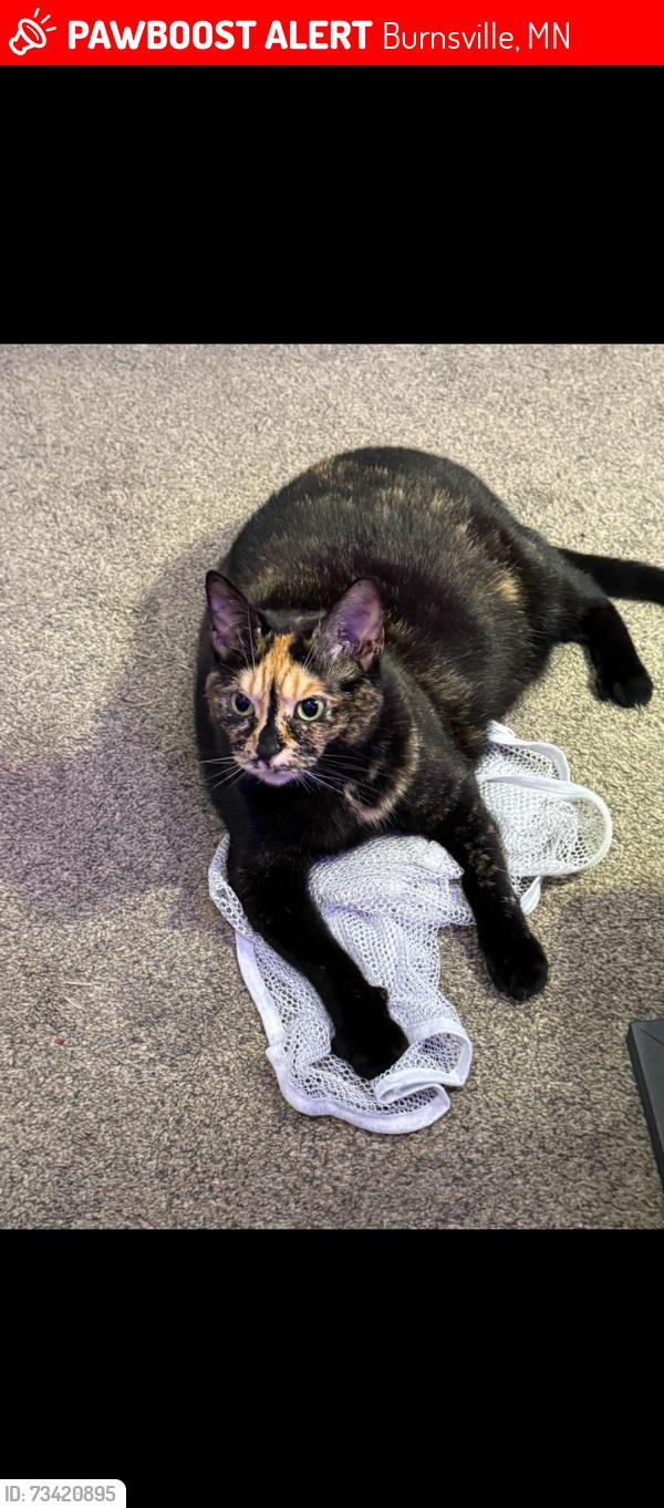 Lost Female Cat last seen Oak Leaf neighborhood 123rd and co rd 11, Burnsville, MN 55337