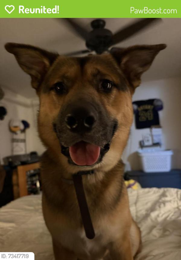 Reunited Male Dog last seen Safeway on andresen, Vancouver, WA 98661
