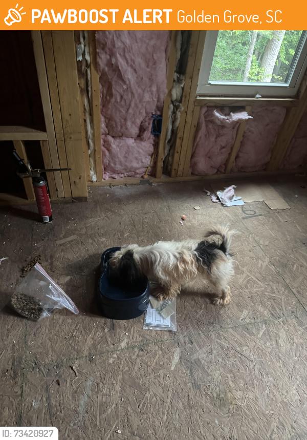 Found/Stray Unknown Dog last seen Construction hse, Golden Grove, SC 29673