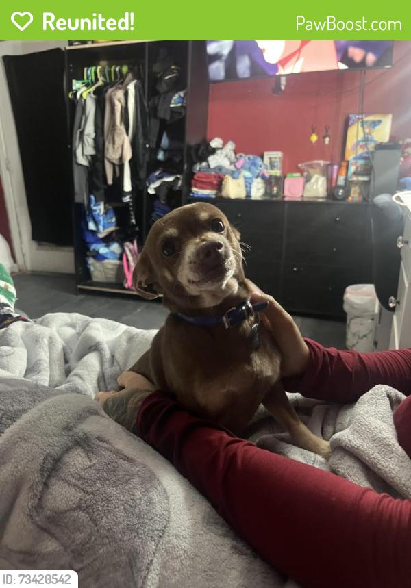 Reunited Male Dog last seen Near rio hondo pkway, El Monte, CA 91733