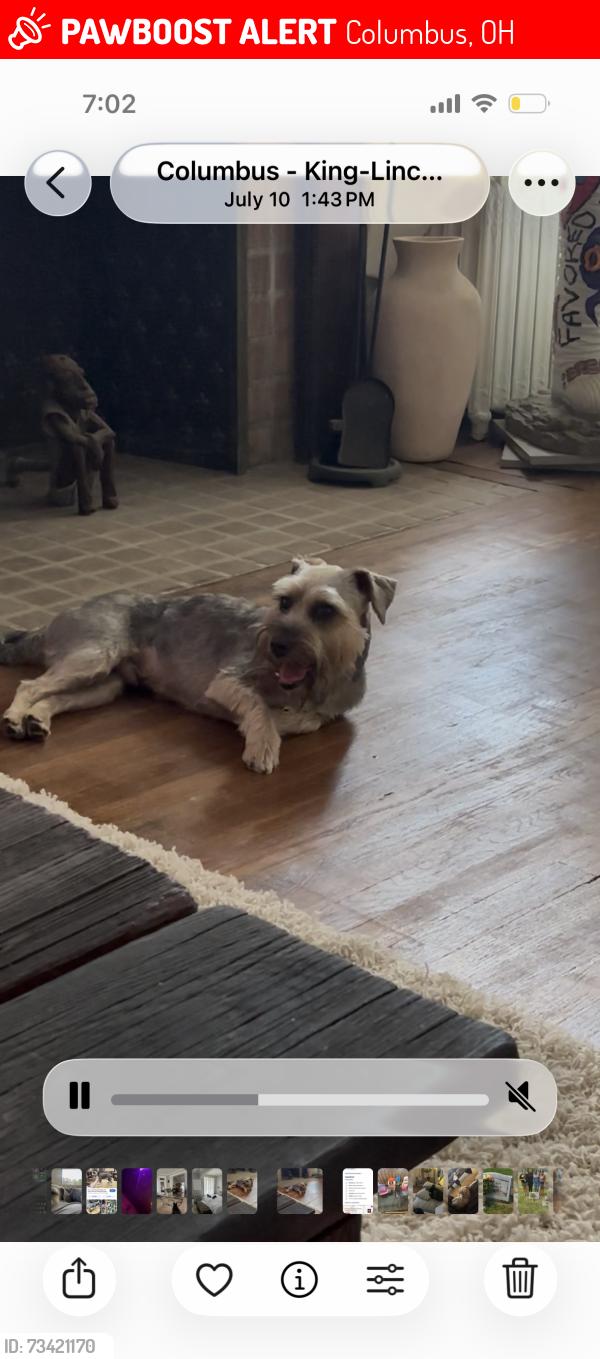 Lost Male Dog last seen 18th and Bryden, Columbus, OH 43205