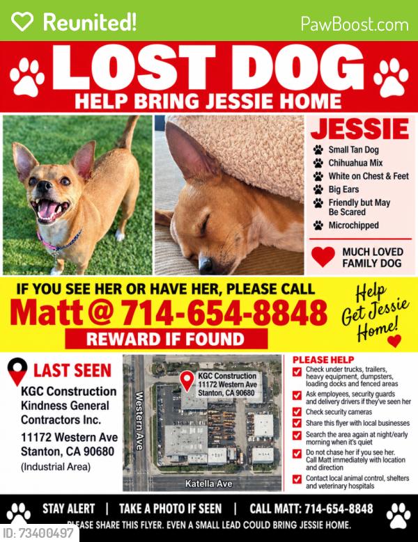 Reunited Female Dog last seen Western, Stanton, CA 90680