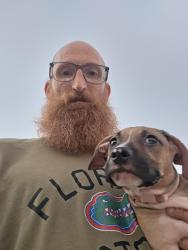 Found/Stray Female Dog last seen Well line/Jacobs Way, Cantonment, FL 32533
