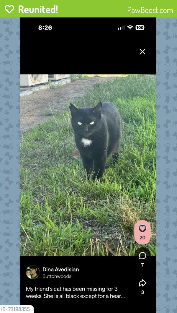 Reunited Female Cat last seen Sunny cove, Warwick, RI 02889