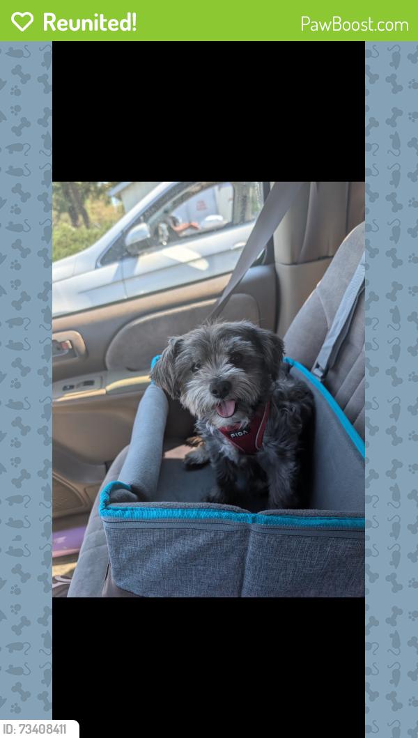 Reunited Male Dog last seen Near Poppy ridge Road elk grove, CA, Elk Grove, CA 95757