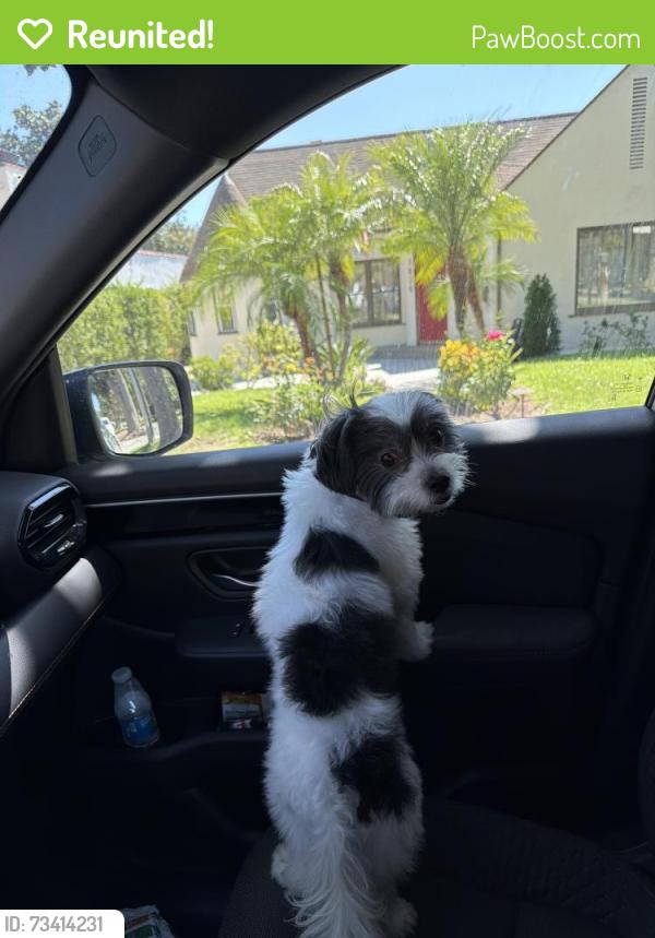 Reunited Male Dog last seen Gridley and 8th St, San Fernando, CA 91340