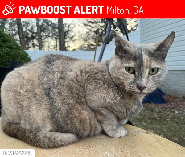 Lost Female Cat last seen Deerfield pkwy, Milton, GA 30004