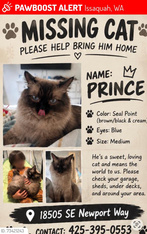 Lost Male Cat last seen Near se Newport way, Issaquah, WA 98008
