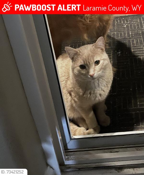 Lost Male Cat last seen Highway 30, Laramie County, WY 82009