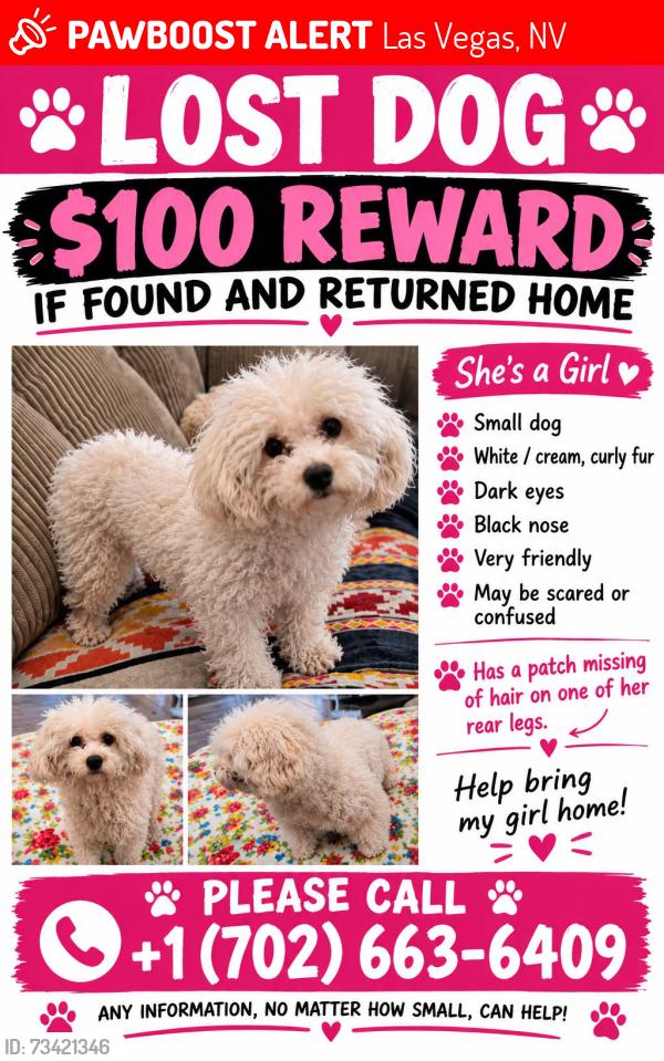 Lost Female Dog last seen Marion and nellis, Las Vegas, NV 89115