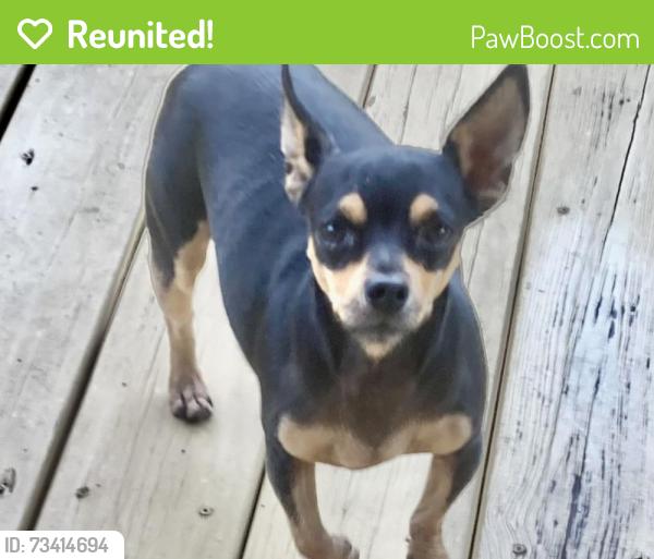 Reunited Female Dog last seen Reservoir St, Rome, GA 30161