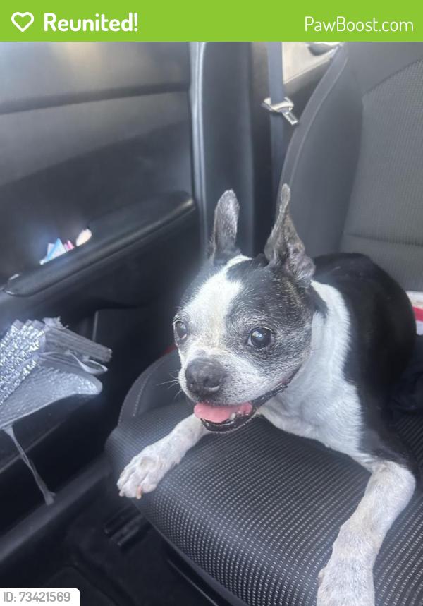 Reunited Male Dog last seen Cravath Ct, West Covina, CA 91792, USA, West Covina, CA 91792
