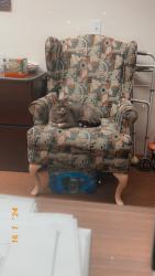 Lost Female Cat last seen Main st, Hillsboro, OR 97124