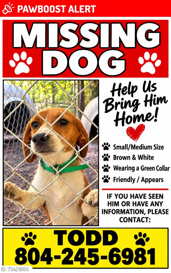 Lost Male Dog last seen Cattail and Nash rd, Chesterfield County, VA 23838