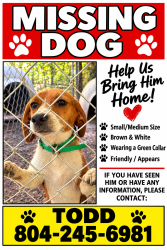 Lost Male Dog last seen Cattail and Nash rd, Chesterfield County, VA 23838