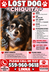 Lost Female Dog last seen Dakota/ Cedar, Fresno, CA 93726