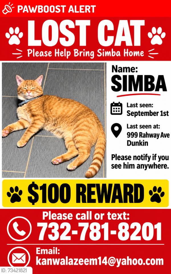 Lost Male Cat last seen Near Rahway ave Avenel nj, Woodbridge Township, NJ 07001