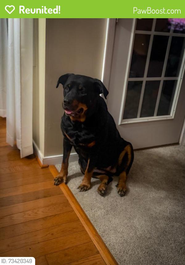 Reunited Female Dog last seen Near hull st., Richmond, VA 23224