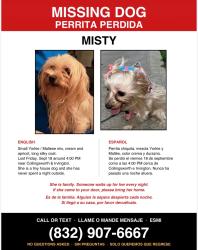 Lost Female Dog last seen Collinsworth Irvington, Houston, TX 77009