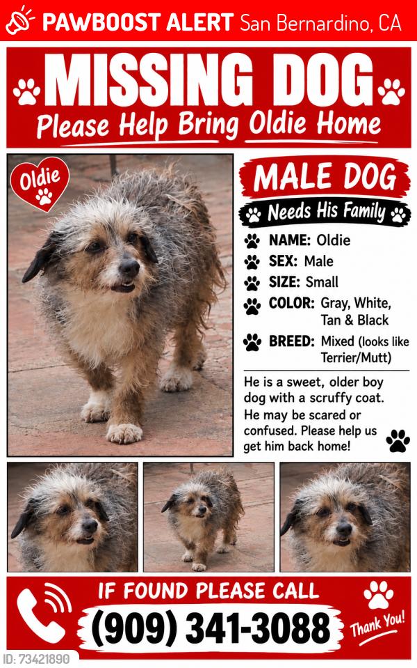Lost Male Dog last seen Massachusetts And 15th st, San Bernardino, CA 92411