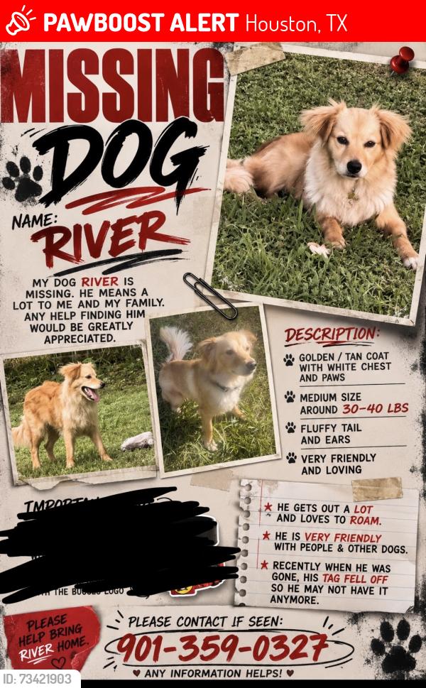 Lost Male Dog last seen northwest pines, Houston, TX 77014