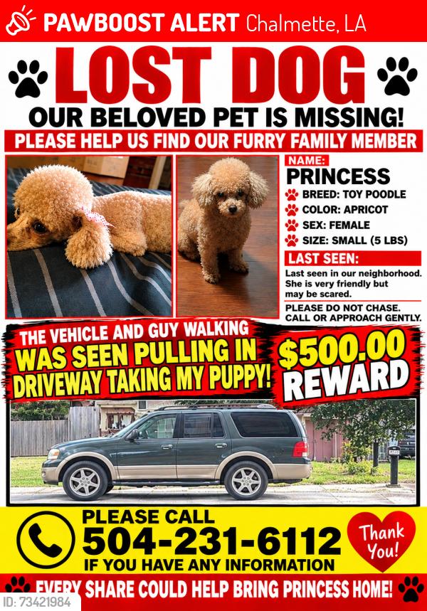 Lost Female Dog last seen Livingston, Chalmette, LA 70043