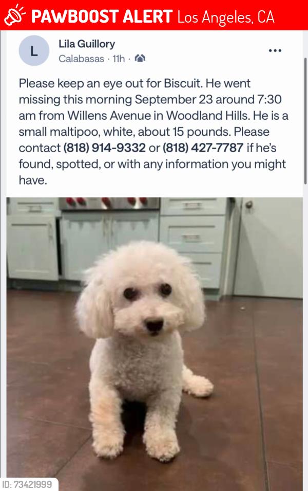 Lost Male Dog last seen Mulholland, Los Angeles, CA 91364