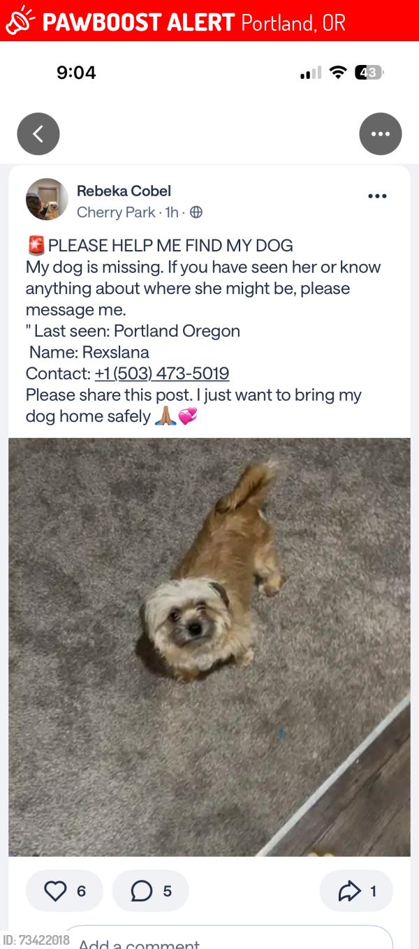 Lost Unknown Dog last seen Near se 96th Ave, Portland, or 97216, Portland, OR 97216