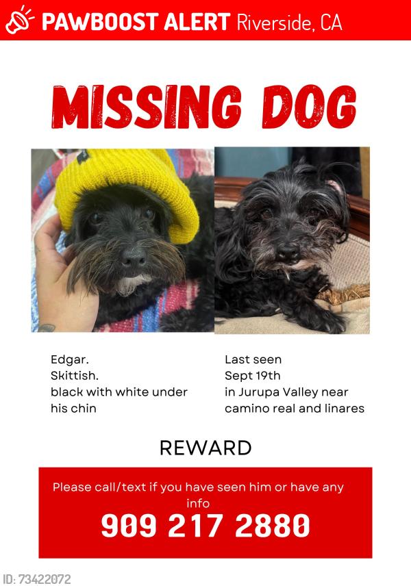 Lost Male Dog last seen Reagan and Jenifer, Riverside, CA 92509