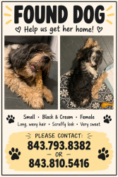 Found/Stray Female Dog last seen Peters Rd Fairburn Georgia, Atlanta, GA 30312