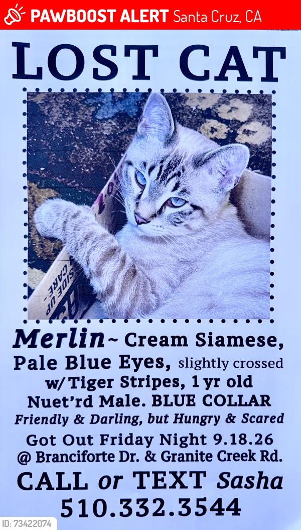 Lost Male Cat last seen Branciforte Drive & Granite Creek Road, Santa Cruz, CA 95065