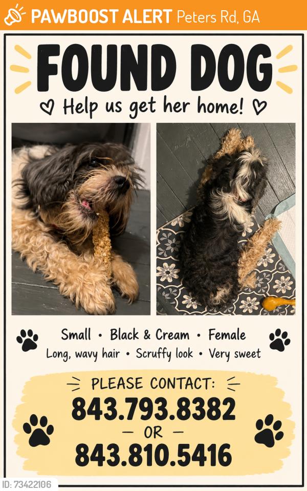 Found/Stray Unknown Dog last seen Peters Rd & Roses Tr, Peters Rd, GA 30349