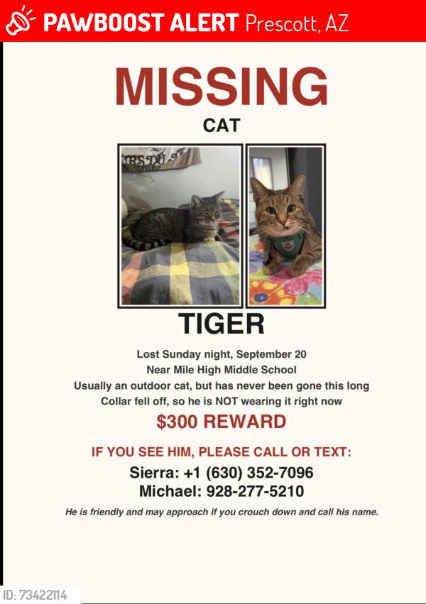 Lost Male Cat last seen Prescott mile high middle school, Prescott, AZ 86303
