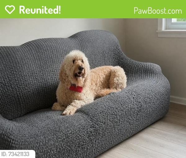 Reunited Male Dog last seen Church St and Kingston highway, Rome, GA 30161