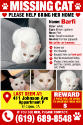 Reunited Female Cat last seen Near Johnson ave, El Cajon, CA 92020