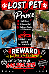 Lost Male Dog last seen Mansfield Highway, Forest Hill, TX 76119