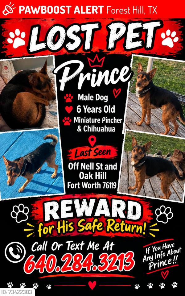 Lost Male Dog last seen Mansfield Highway, Forest Hill, TX 76119