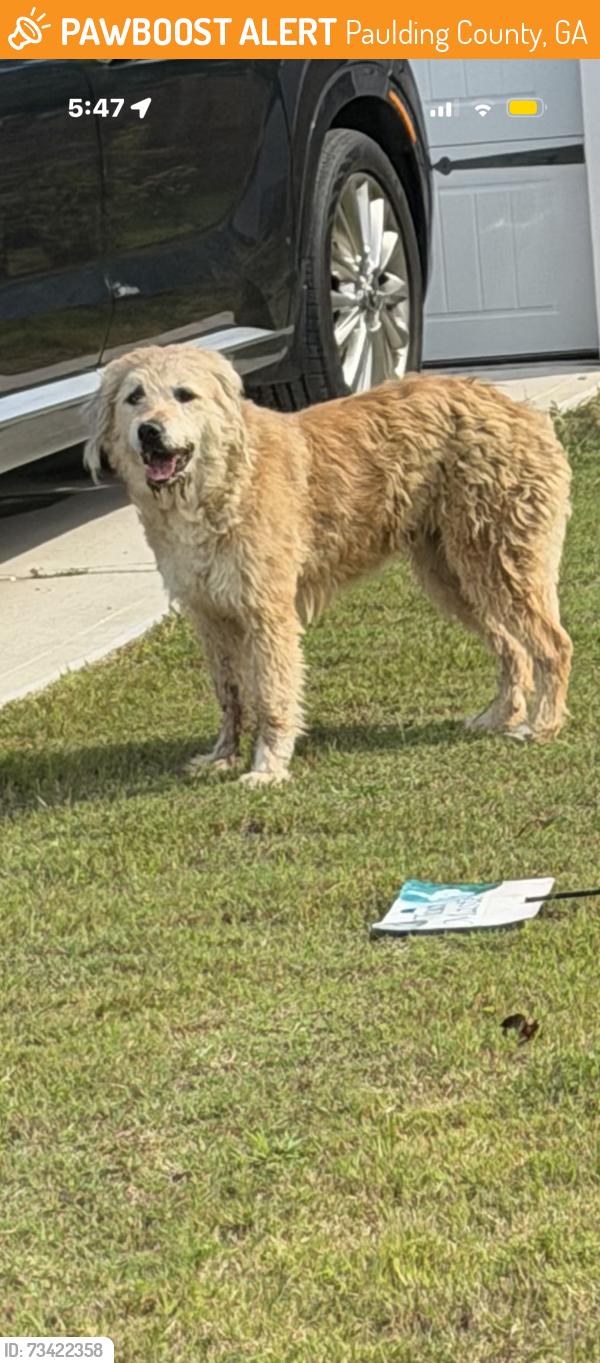 Found/Stray Unknown Dog last seen Birchfield Way, Paulding County, GA 30132
